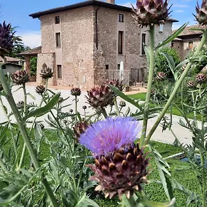 Agroturismo Corte Davini